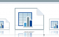 Start view of the report manager